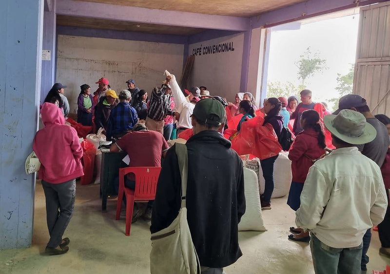 Mexico Oaxaca Sierra Norte San Pedro Ayacaxtepec - 37645 - Ecotact Bags - SPOT RCWHSE