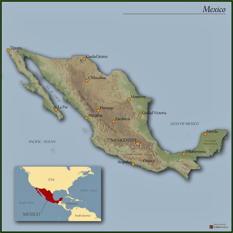 Decaf Mexico Esmeralda EA Natural Process - 37004-2 - SPOT COSEATAC