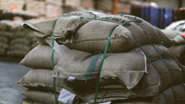 green coffee in royal coffee warehouse