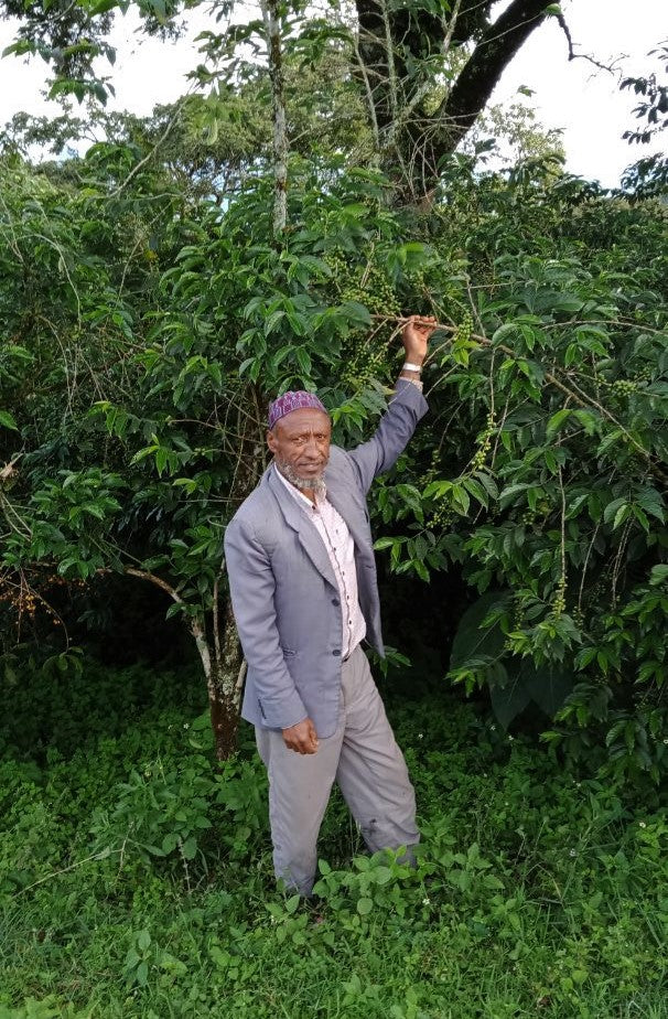 Ethiopia Farmgate COE National Select Jury Jimma 1 Natural Mohammed Haji Simal - 29930 - GrainPro Bags - SPOT RCWHSE