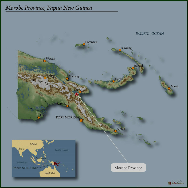 PAPUA NEW GUINEA ORGANIC MOROBE A/X - *51443* - 24856 - Ecotact Bags - SPOT RCWHSE