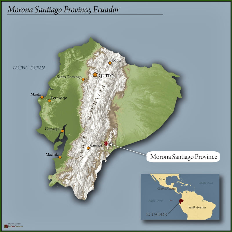 Ecuador Farmgate Morona Santiago Juan Peña Presents Taisha Blend - *51964* - 27280-3 - 25.0 kg Box/Vacuum Pack - SPOT COSEATAC