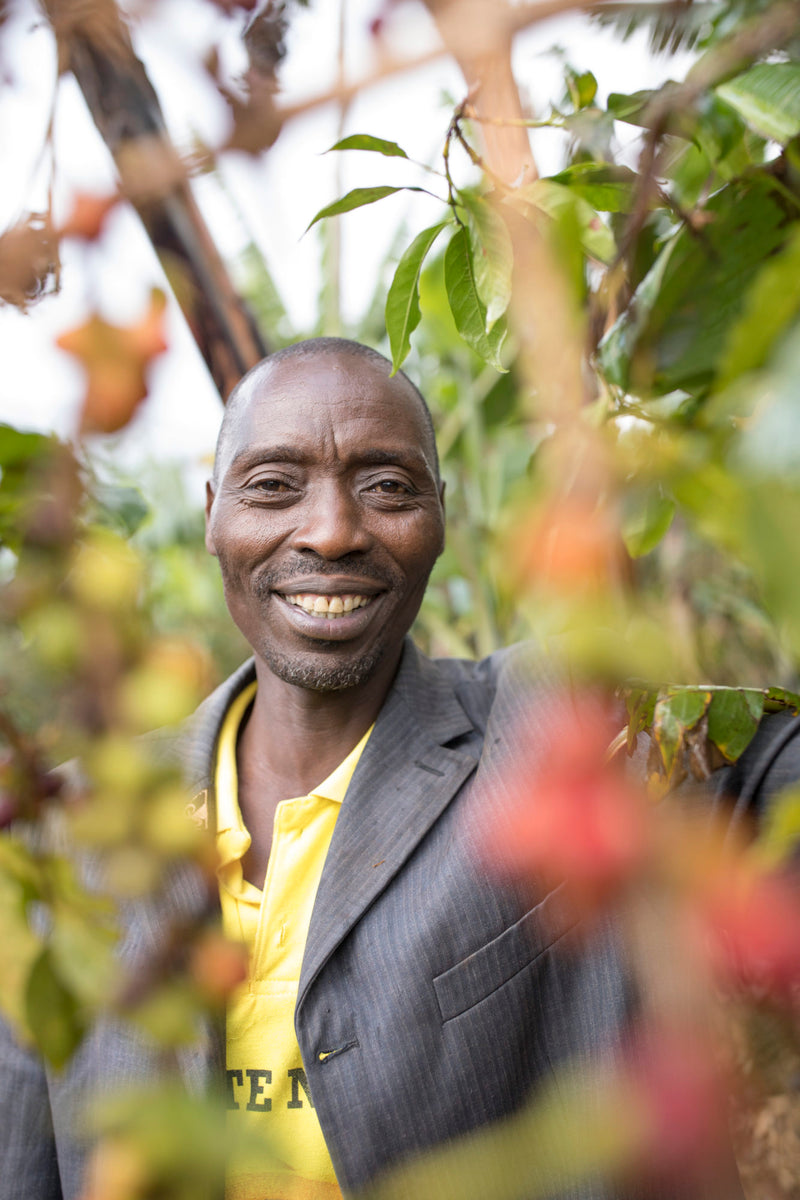 UGANDA ORGANIC MOUNTAIN HARVEST - *51628* - 23900 - 70.0 kg Bags - SPOT RCWHSE