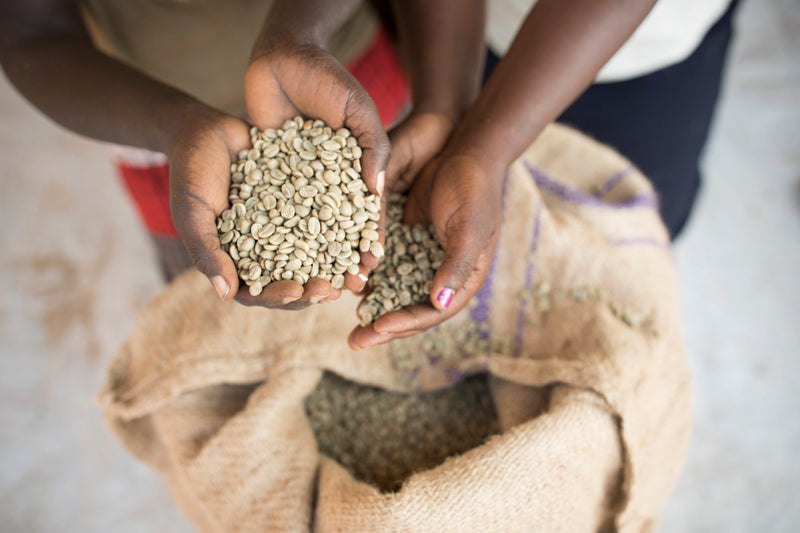 UGANDA ORGANIC MOUNTAIN HARVEST - *52344* - 27313 - GrainPro Bags - SPOT SEAFORTH