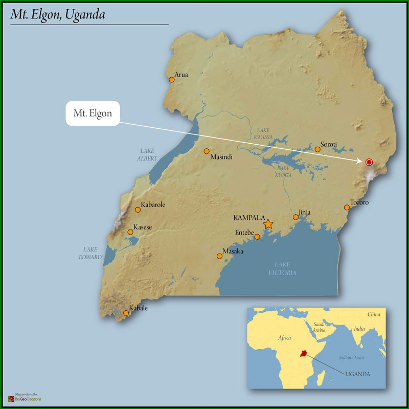 UGANDA FT-FLO ORGANIC FRIENDS OF MOTHERS WOMEN'S COFFEE A+ - 41972 - GrainPro Bags - December 2026 Shipment - RCWHSE