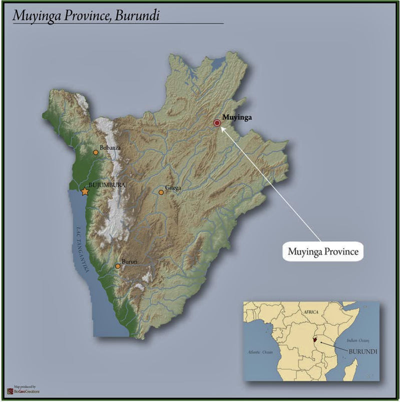 Burundi Muyinga Gashoho Bavyeyi Natural - 30154 - GrainPro Bags - SPOT RCWHSE
