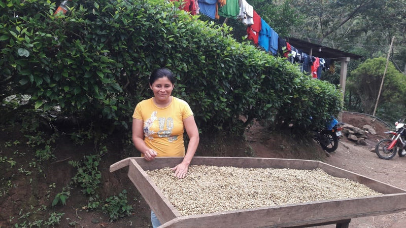 NICARAGUA FT-FLO ORGANIC COOMULFAC CAFE DE MUJERES SHG EP - 30556 - Ecotact Bags - SPOT RCWHSE