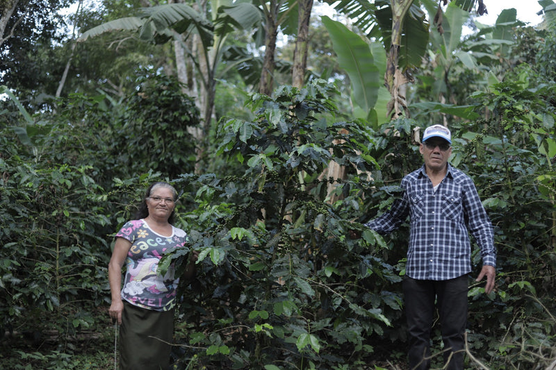 NICARAGUA FT ORGANIC SJ RIO COCO BENJAMIN CORNEJO - 29071 - Ecotact Bags - SPOT RCWHSE