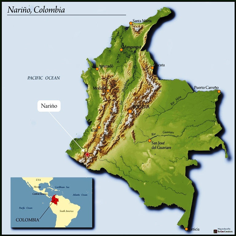 COLOMBIA ORGANIC NARINO - 32704 - 70.2 kg GrainPro Bags - SPOT RCWHSE