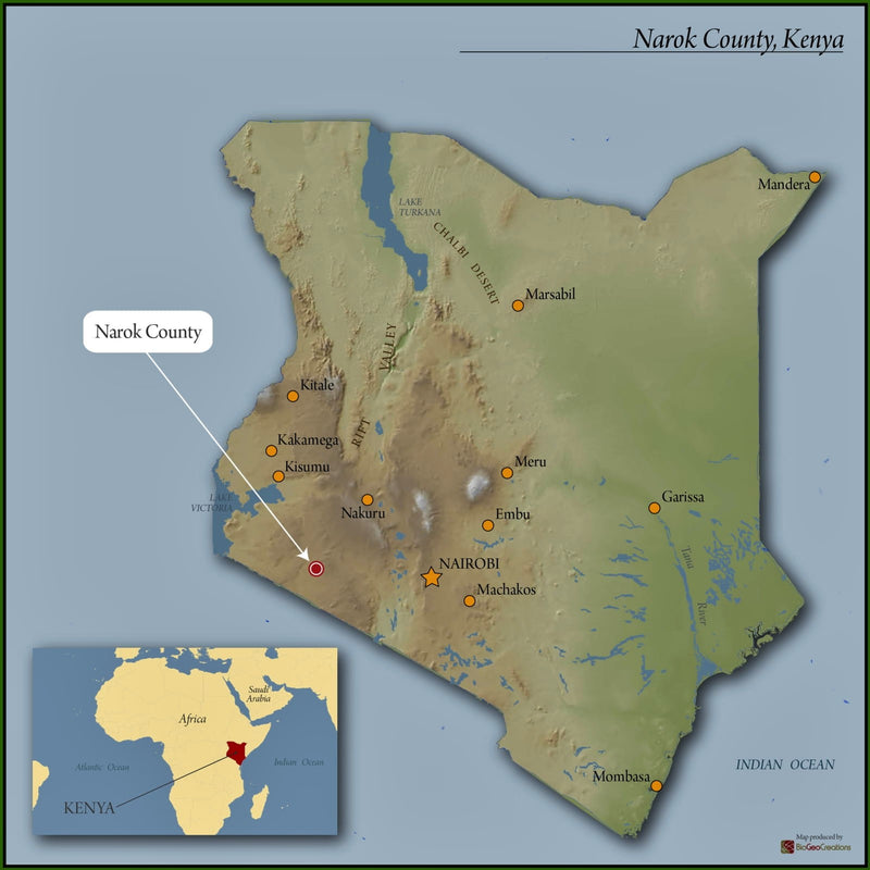 Kenya Narok Mara Estate Natural - 29197 - GrainPro Bags - SPOT SHANGHAI