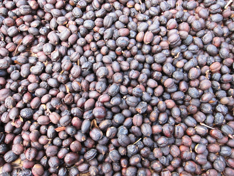 Ethiopia Sidama 3 Natural Daye Bensa - 33997 - GrainPro Bags - SPOT RCWHSE