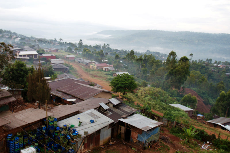 ETHIOPIA SIDAMA 3 NATURAL ORGANIC HACHE - *52652*  - 27238 - Ecotact Bags - SPOT COSEATAC