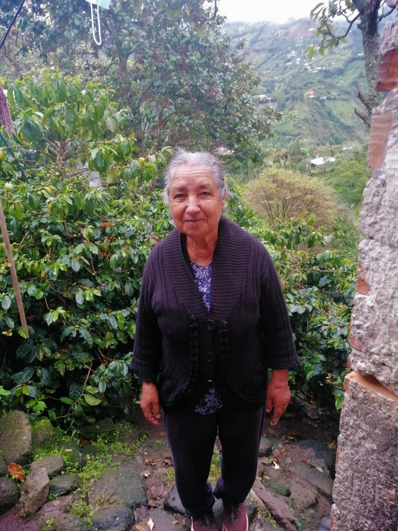 Colombia Narino Los Ingas Honey - *51904* - 27107 - 70.3 kg GrainPro Bags - SPOT RCWHSE