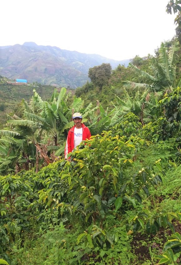 Colombia Narino Los Ingas Honey - *51904* - 27107 - 70.3 kg GrainPro Bags - SPOT RCWHSE