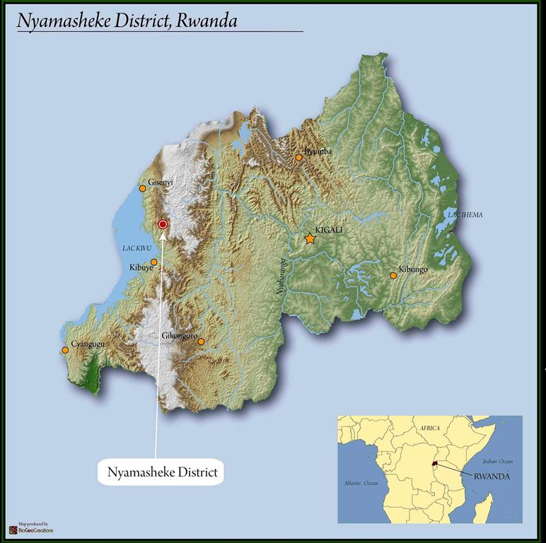 Rwanda Ngoma 15+ - *51415* - 25455-2 - GrainPro Bags - SPOT COSEATAC