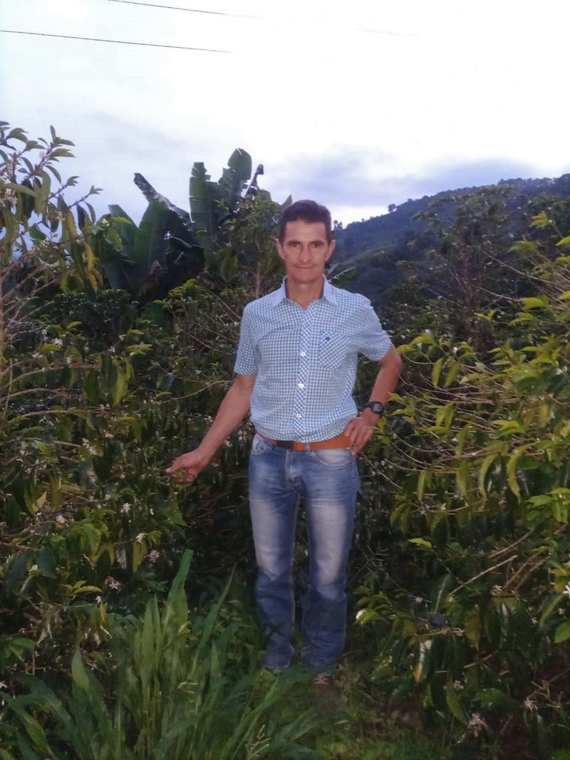 Colombia Huila Buena Vista Natural - *51677* - 25635 - 70.3 kg GrainPro Bags - SPOT RCWHSE