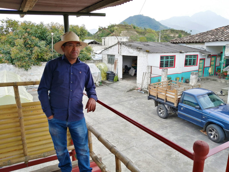 Colombia Narino San Pablo AA - *51420* - 24964 - GrainPro Bags - SPOT RCWHSE