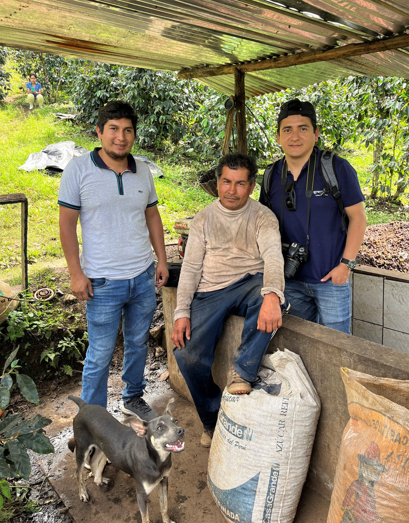 PERU FT-FLO ORGANIC AMAZONAS VALLE ALTO 83+ - 31859-3 - SPOT DUPUYHOU