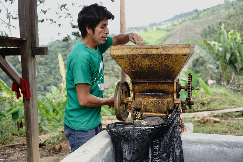 PERU FT-FLO/USA ORGANIC APROCASSI - 34022 - GrainPro Bags - SPOT RCWHSE