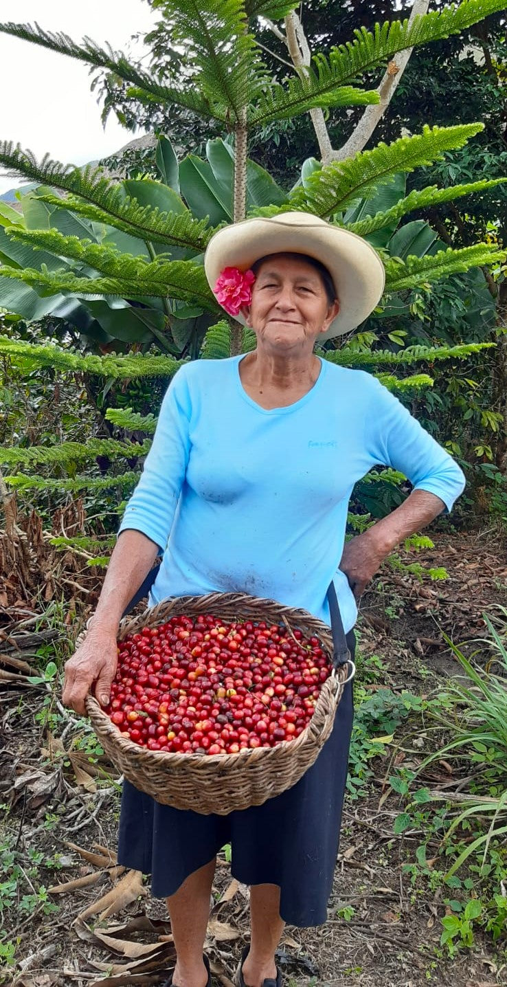 PERU FT-FLO ORGANIC ANDINOS SIERRA VERDE - 31870 - SPOT RCWHSE