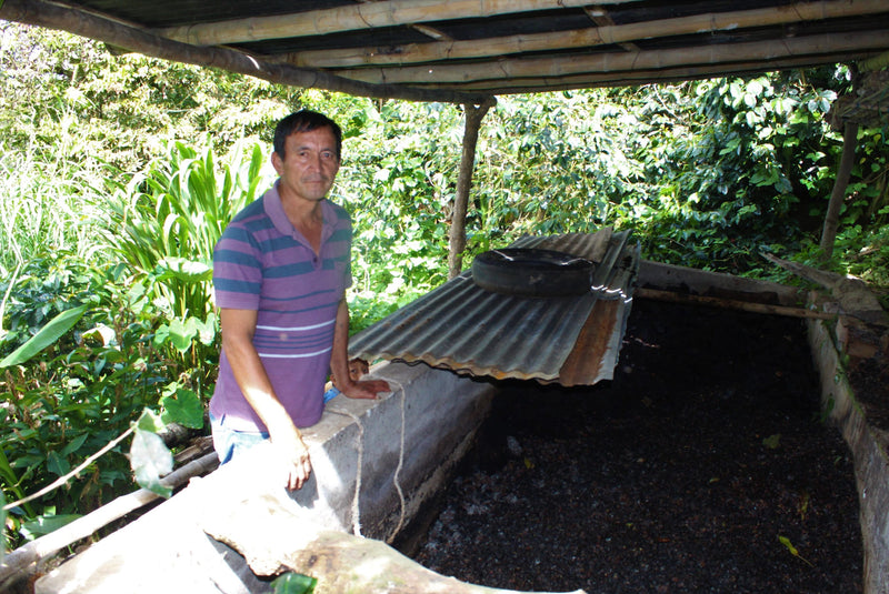 PERU FT-FLO ORGANIC CAJAMARCA LOS ANGELES SHB EP - 29527-2 - SPOT DUPUYHOU