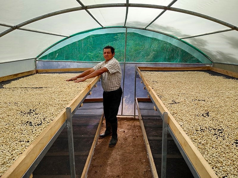 PERU FT-USA ORGANIC SELVA ANDINA - 35030-1 - SPOT SEAFORTH