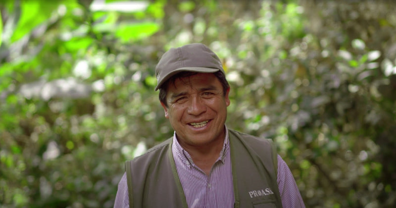 PERU ORGANIC AMAZONAS SHB EP - 34838 - SPOT RCWHSE