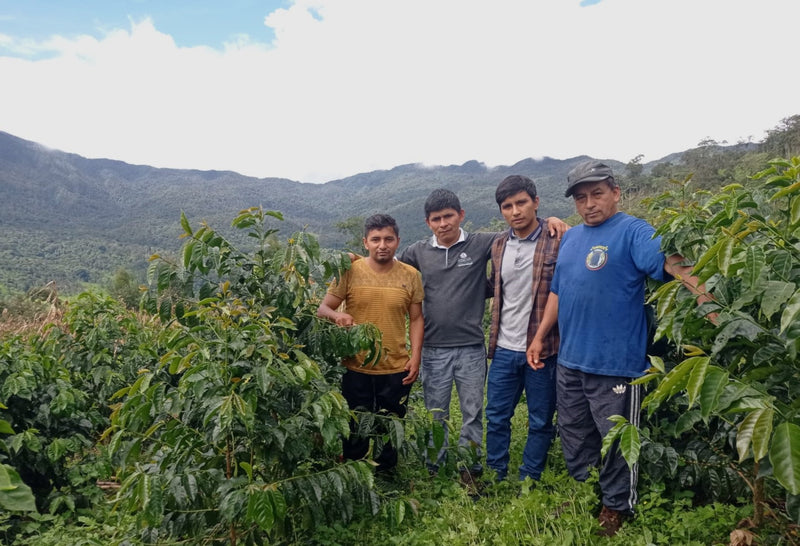PERU ORGANIC APROCASSI - 41424 - September 2026 Shipment - RCWHSE