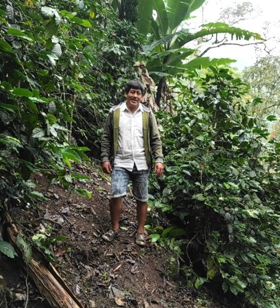 PERU ORGANIC CAJAMARCA COLASAY - 34732 - SPOT SEAFORTH