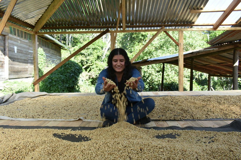 PERU ORGANIC CUZCO YANATILE - 29605 - Ecotact Bags - SPOT RCWHSE