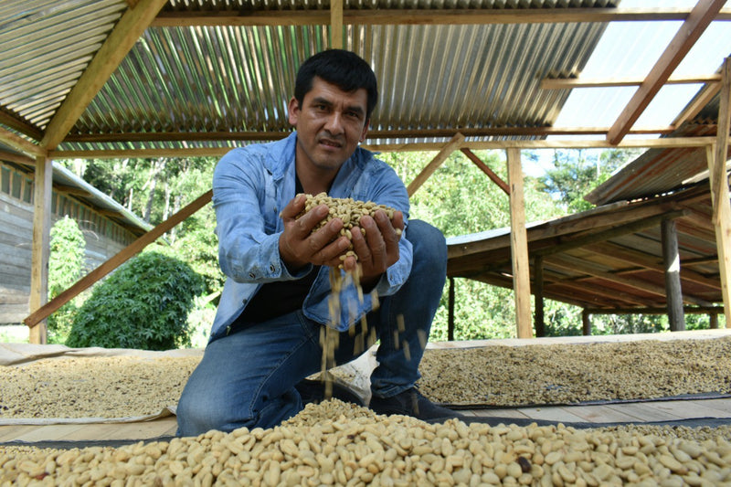 PERU ORGANIC CUZCO YANATILE - 29605 - Ecotact Bags - SPOT RCWHSE