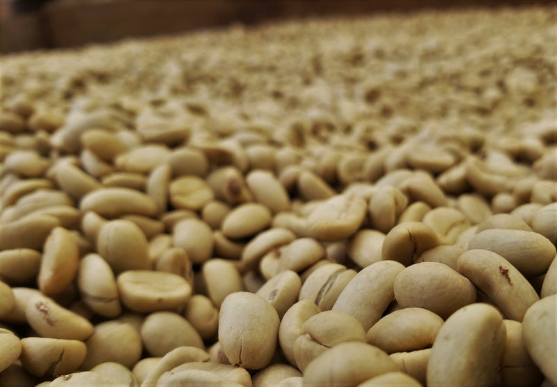 PERU ORGANIC HUABAL COMUNIDAD HUABAL - 29918-2 - GrainPro Bags - SPOT RCWHSE