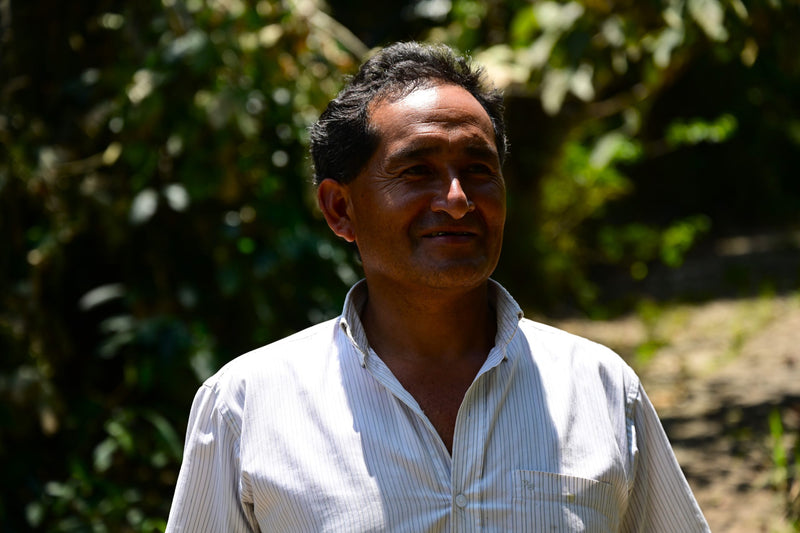 PERU ORGANIC JAEN SANTA ROSA DE LA YUNGA ONIAS GUERRERO - 32918 - GrainPro Bags - SPOT SEAFORTH