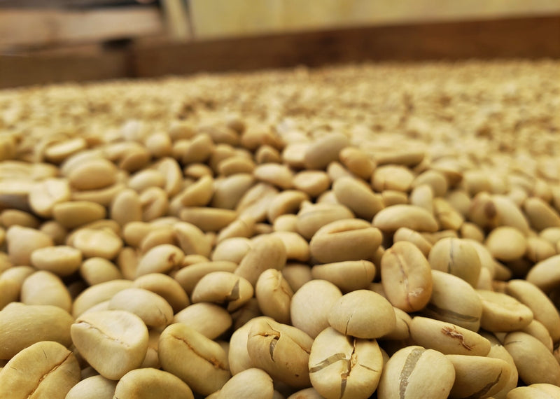 PERU ORGANIC SECTOR EL CAMPO COMUNIDAD CALLAYUC - 29910 - GrainPro Bags - SPOT RCWHSE