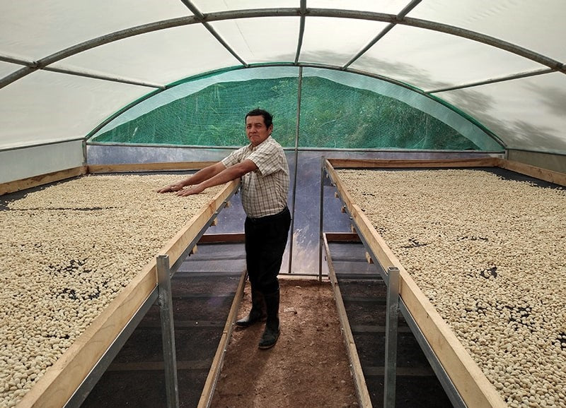PERU ORGANIC SELVA ANDINA - 35032 - SPOT RCWHSE