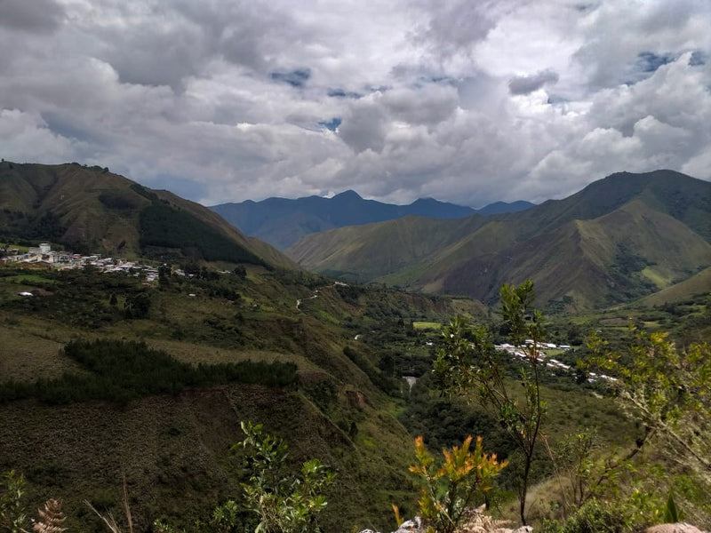 PERU ORGANIC TABACONAS COMMUNITY - *52068* - 27152 - GrainPro Bags - SPOT RCWHSE