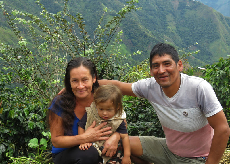 PERU ORGANIC TABACONAS HENRY ARICA - *52066* - 27151 - GrainPro Bags - SPOT RCWHSE