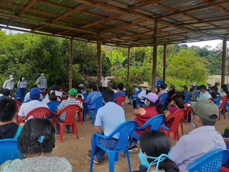 Peru Vida Alta SHB EP - 29516 - SPOT RCWHSE