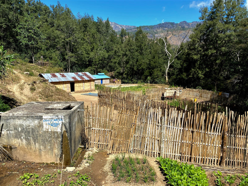 TIMOR LESTE FARMGATE ORGANIC ERMERA LACAU - Lot 1 - 30186 - 30.0 kg GrainPro Bags - SPOT RCWHSE
