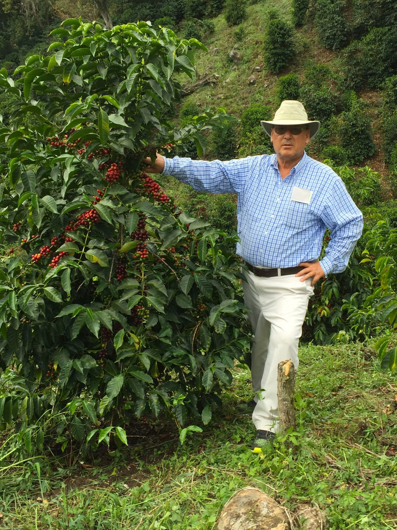 Panama Finca Don Pepe SHB - 34767 - GrainPro Bags - SPOT RCWHSE