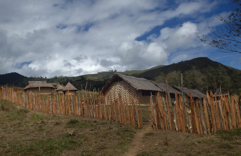 Papua New Guinea Arufa Natural AX - 37394-4 - GrainPro Bags - SPOT DUPUYHOU
