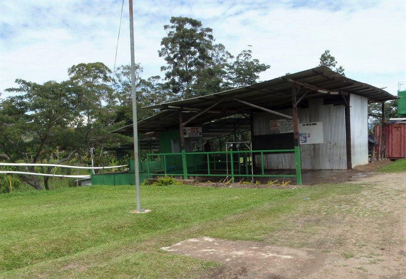PAPUA NEW GUINEA ORGANIC SIANE CHIMBU A/X - 37917 - Ecotact Bags - SPOT COMIDWEST