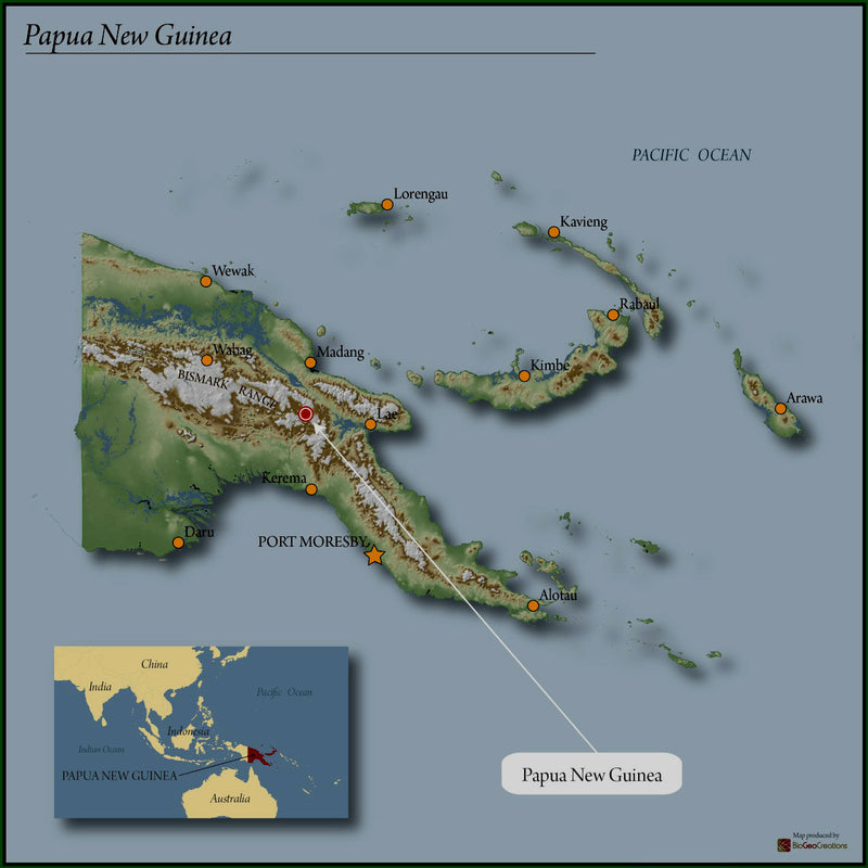 Papua New Guinea Aviamp A 16+ - 32889 - GrainPro Bags - SPOT SHANGHAI