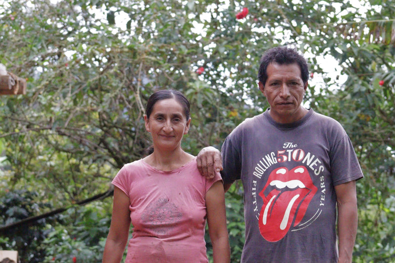 PERU ORGANIC LAS MERCEDES PEDRO CONDESO - 29914 - GrainPro Bags - SPOT RCWHSE