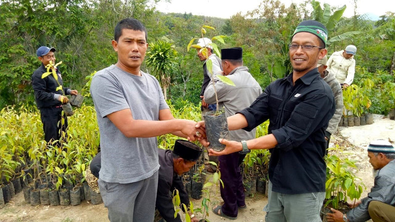 SUMATRA FT ORGANIC BENER MERIAH PERMATA GAYO MANDHELING GRADE 1 - *51795* - 24380 - SPOT RCWHSE