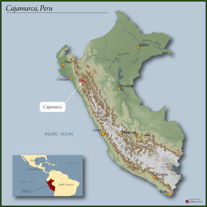 PERU FT-FLO/USA ORGANIC CAJAMARCA PERFILES SHB EP - 29531 - SPOT RCWHSE