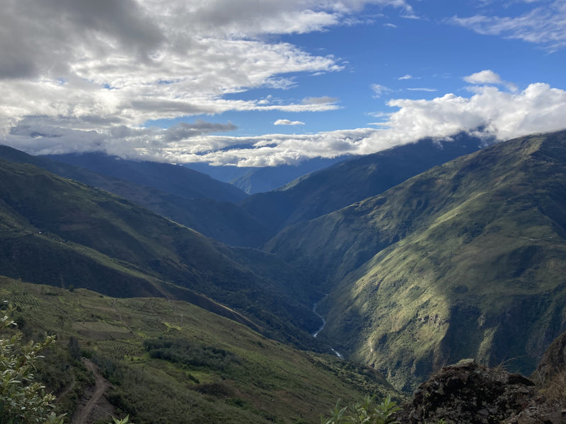 Peru Cusco Cafe Origenes Juihuay Community - 32757-1 - GrainPro Bags - SPOT SEAFORTH