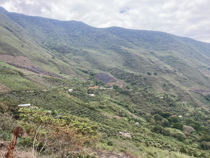 Peru Cusco Cafe Origenes Juihuay Community - 32757 - GrainPro Bags - SPOT RCWHSE