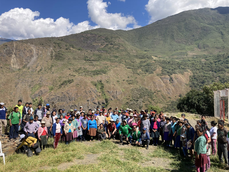 Peru Cusco Cafe Origenes Juihuay Community - 32757-1 - GrainPro Bags - SPOT SEAFORTH