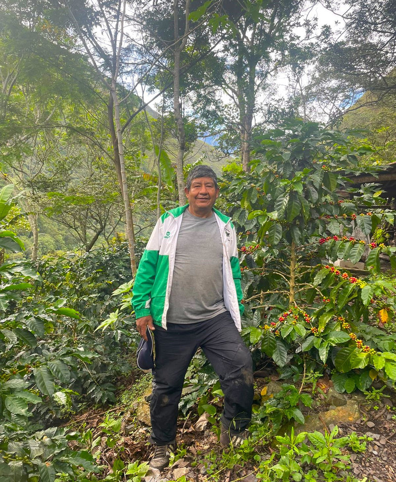 Peru Cusco SHB EP - 32938 - GrainPro Bags - SPOT RCWHSE